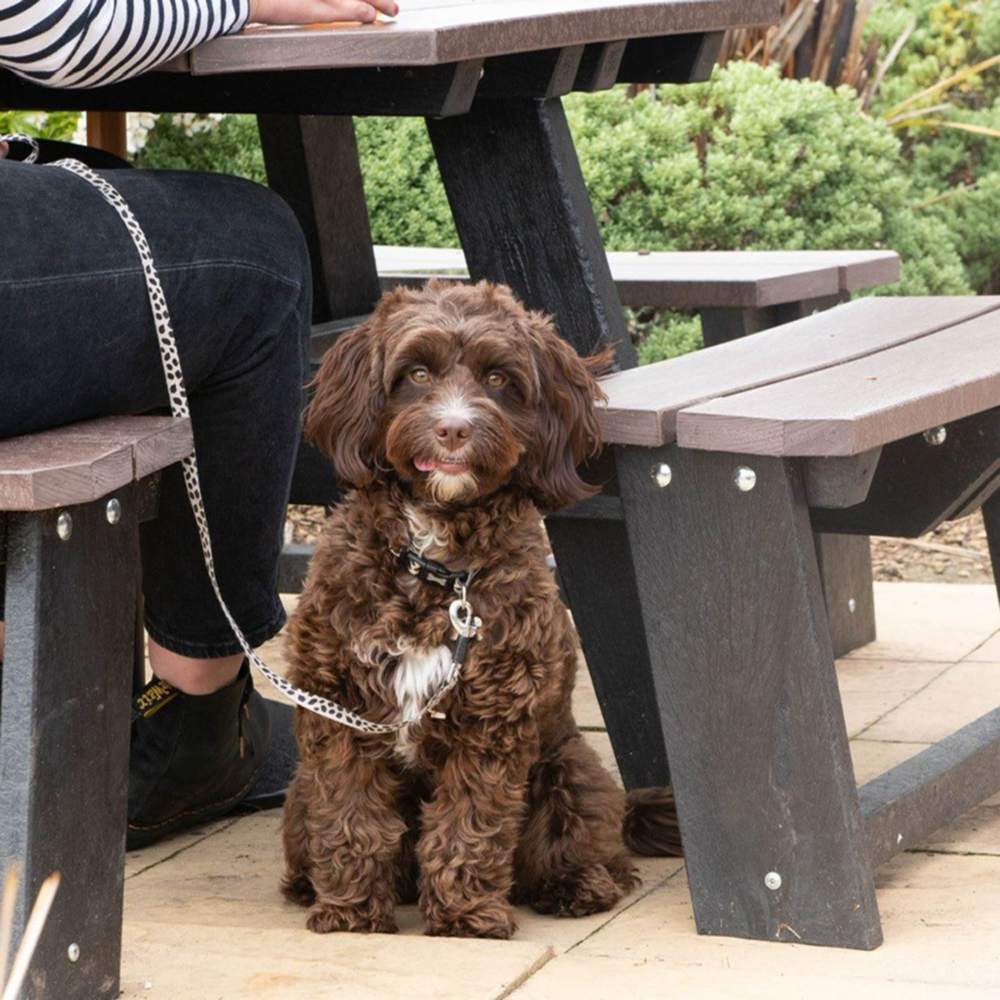 Your local dog friendly pub in Bourton on the Water